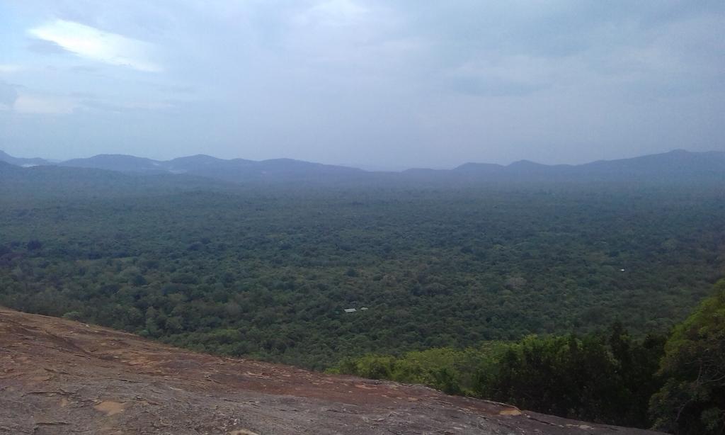 Elephant Safari Lodge Sigiriya Junction Habarana Exterior photo