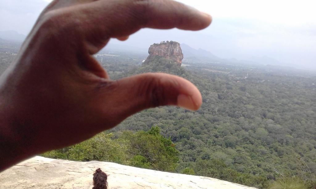 Elephant Safari Lodge Sigiriya Junction Habarana Exterior photo