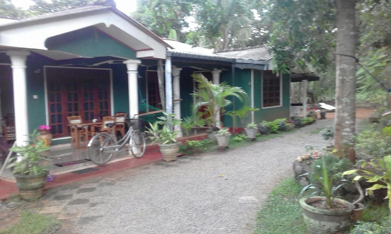 Elephant Safari Lodge Sigiriya Junction Habarana Exterior photo
